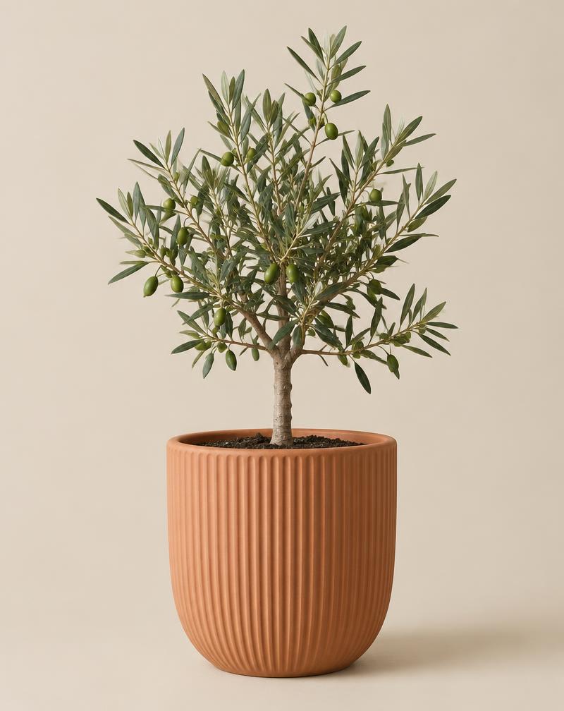 Hanging Terracotta Pot